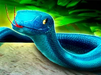 Snake puzzle 3d