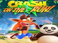 Crash bandicoot and little panda: on the run! 2