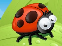 Ladybug slide