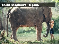 Child elephant jigsaw