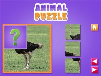 Animal puzzle