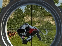 Wild hunt: jungle sniper shooting