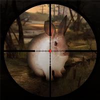 Classical rabbit sniper hunting 2019