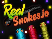 Real snakes.io