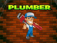 Eg plumber