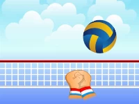 Volleyball