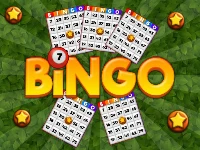 Bingo revealer