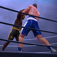 Ultimate boxing game