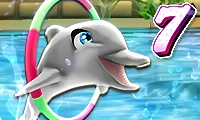 My dolphin show 7