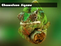 Chameleon jigsaw