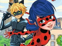 Ladybug differences