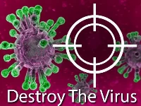 Destroy the corona virus