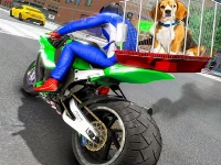 Motorcycle pet delivery