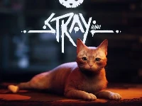 Stray