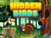 Hidden birds