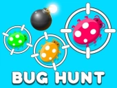 Bug hunt 1