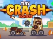 Tiny fighters crash