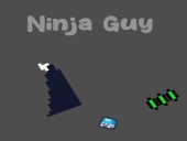 Ninja guy