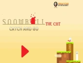 Snowball the cat catch and go