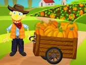 Pumpkin patch