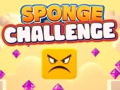 Sponge challenge